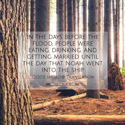 Picture 07 - Matthew 24:38 GW - In the days before the flood, people were eating, - Bible Verse Picture