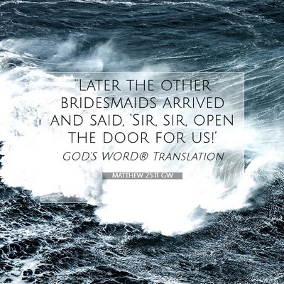 Picture 07 - Matthew 25:11 GW - “Later the other bridesmaids arrived and said, - Bible Verse Picture