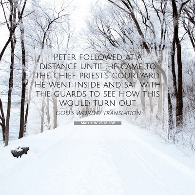 Picture 07 - Matthew 26:58 GW - Peter followed at a distance until he came to the - Bible Verse Picture
