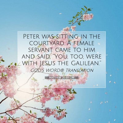 Picture 07 - Matthew 26:69 GW - Peter was sitting in the courtyard. A female - Bible Verse Picture