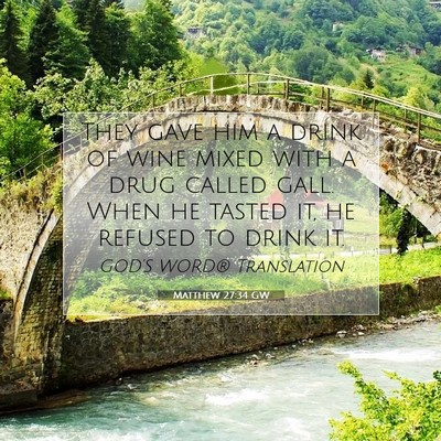 Picture 07 - Matthew 27:34 GW - They gave him a drink of wine mixed with a drug - Bible Verse Picture