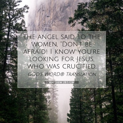 Picture 07 - Matthew 28:5 GW - The angel said to the women, “Don’t be - Bible Verse Picture