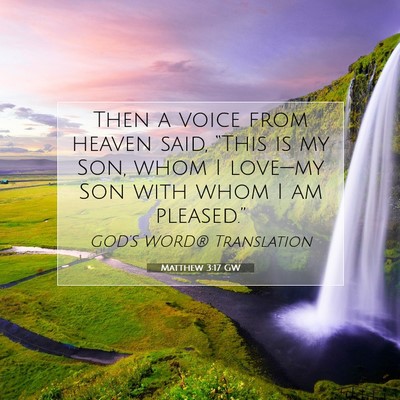Picture 07 - Matthew 3:17 GW - Then a voice from heaven said, “This is my Son, - Bible Verse Picture