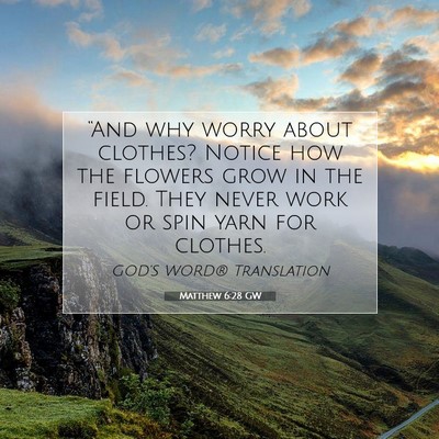 Picture 07 - Matthew 6:28 GW - “And why worry about clothes? Notice how the - Bible Verse Picture