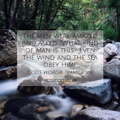 Picture 07 - Matthew 8:27 GW - The men were amazed and asked, “What kind of - Bible Verse Picture