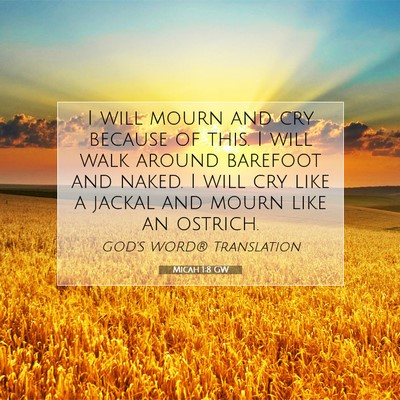 Picture 07 - Micah 1:8 GW - I will mourn and cry because of this. I will walk - Bible Verse Picture