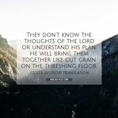 Picture 07 - Micah 4:12 GW - They don’t know the thoughts of the Lord or - Bible Verse Picture