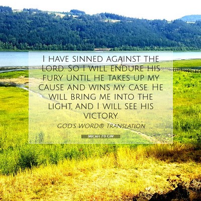 Picture 07 - Micah 7:9 GW - I have sinned against the Lord. So I will endure - Bible Verse Picture