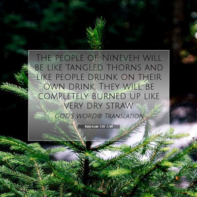 Picture 07 - Nahum 1:10 GW - The people of Nineveh will be like tangled thorns - Bible Verse Picture