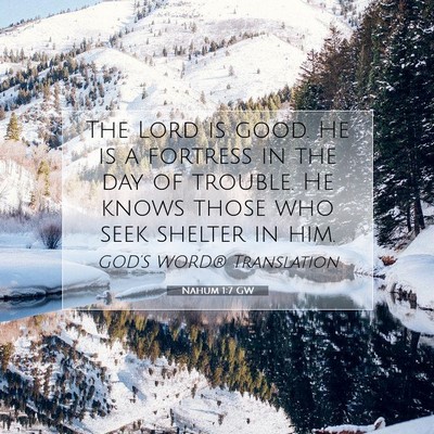 Picture 07 - Nahum 1:7 GW - The Lord is good. He is a fortress in the day of - Bible Verse Picture