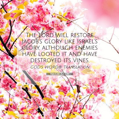 Picture 07 - Nahum 2:2 GW - The Lord will restore Jacob’s glory like - Bible Verse Picture