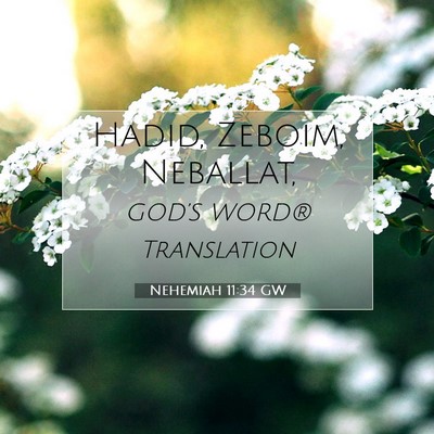 Picture 07 - Nehemiah 11:34 GW - Hadid, Zeboim, - Bible Verse Picture