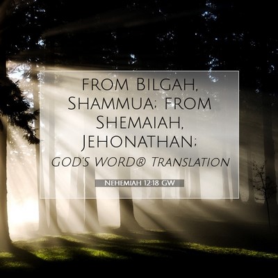 Picture 07 - Nehemiah 12:18 GW - from Bilgah, Shammua; from Shemaiah, - Bible Verse Picture