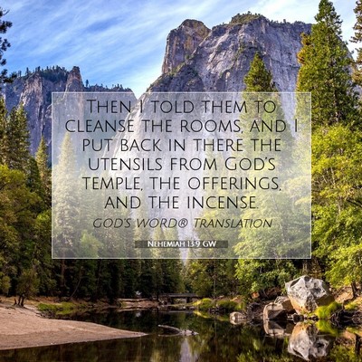 Picture 07 - Nehemiah 13:9 GW - Then I told them to cleanse the rooms, and I put - Bible Verse Picture