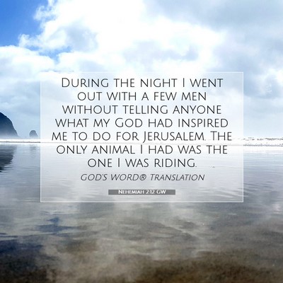 Picture 07 - Nehemiah 2:12 GW - During the night I went out with a few men - Bible Verse Picture
