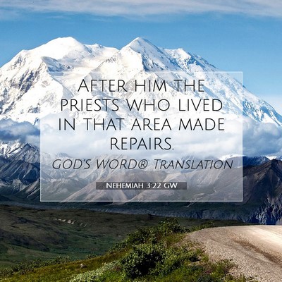 Picture 07 - Nehemiah 3:22 GW - After him the priests who lived in that area made - Bible Verse Picture