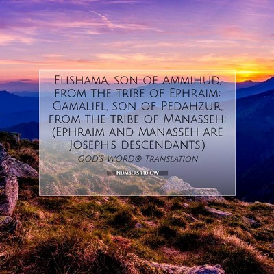 Picture 07 - Numbers 1:10 GW - Elishama, son of Ammihud, from the tribe of - Bible Verse Picture