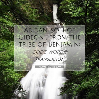 Picture 07 - Numbers 1:11 GW - Abidan, son of Gideoni, from the tribe of - Bible Verse Picture