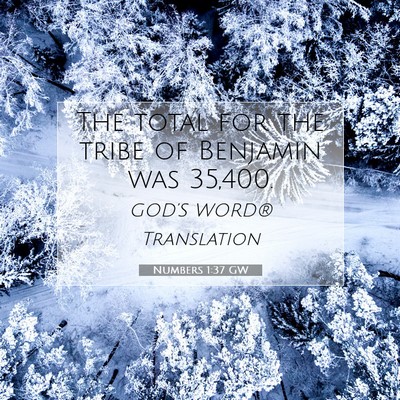 Picture 07 - Numbers 1:37 GW - The total for the tribe of Benjamin was - Bible Verse Picture