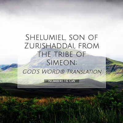 Picture 07 - Numbers 1:6 GW - Shelumiel, son of Zurishaddai, from the tribe of - Bible Verse Picture