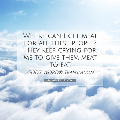 Picture 07 - Numbers 11:13 GW - Where can I get meat for all these people? They - Bible Verse Picture
