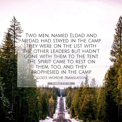 Picture 07 - Numbers 11:26 GW - Two men, named Eldad and Medad, had stayed in the - Bible Verse Picture