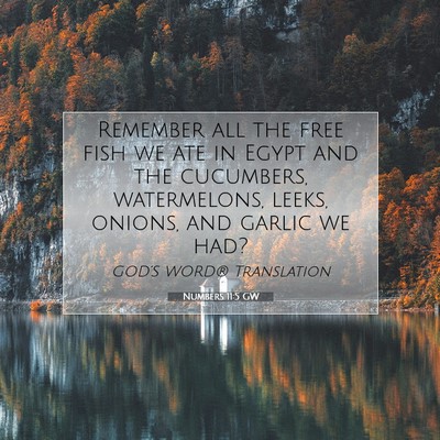 Picture 07 - Numbers 11:5 GW - Remember all the free fish we ate in Egypt and - Bible Verse Picture