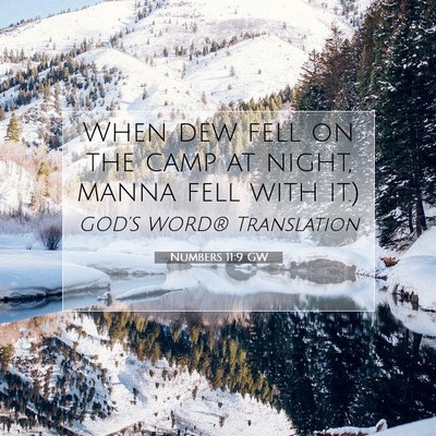 Picture 07 - Numbers 11:9 GW - When dew fell on the camp at night, manna fell - Bible Verse Picture