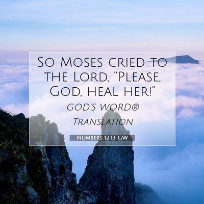Picture 07 - Numbers 12:13 GW - So Moses cried to the Lord, “Please, God, heal - Bible Verse Picture