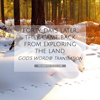 Picture 07 - Numbers 13:25 GW - Forty days later, they came back from exploring - Bible Verse Picture