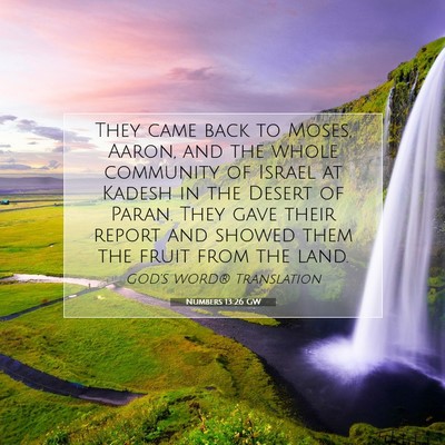 Picture 07 - Numbers 13:26 GW - They came back to Moses, Aaron, and the whole - Bible Verse Picture