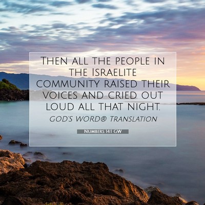 Picture 07 - Numbers 14:1 GW - Then all the people in the Israelite community - Bible Verse Picture