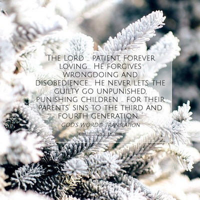 Picture 07 - Numbers 14:18 GW - ‘The Lord … patient, forever loving…. He - Bible Verse Picture