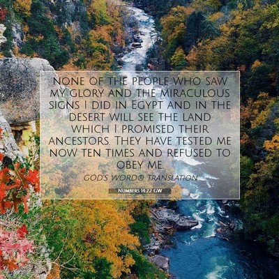 Picture 07 - Numbers 14:22 GW - none of the people who saw my glory and the - Bible Verse Picture