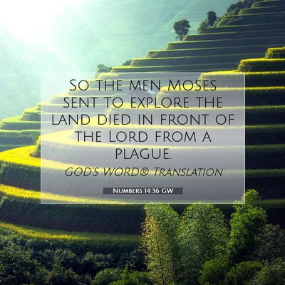 Picture 07 - Numbers 14:36 GW - So the men Moses sent to explore the land died in - Bible Verse Picture