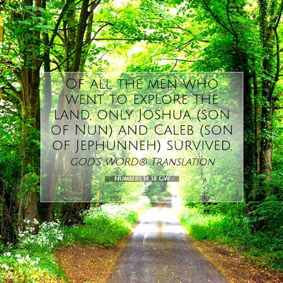 Picture 07 - Numbers 14:38 GW - Of all the men who went to explore the land, only - Bible Verse Picture