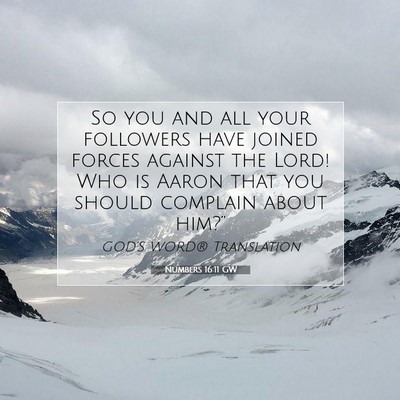 Picture 07 - Numbers 16:11 GW - So you and all your followers have joined forces - Bible Verse Picture