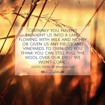 Picture 07 - Numbers 16:14 GW - Certainly you haven’t brought us into a land - Bible Verse Picture