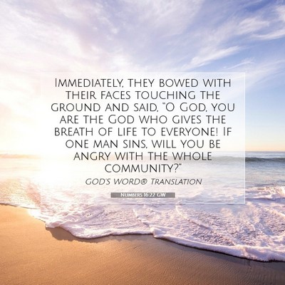 Picture 07 - Numbers 16:22 GW - Immediately, they bowed with their faces touching - Bible Verse Picture