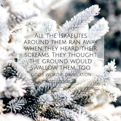 Picture 07 - Numbers 16:34 GW - All the Israelites around them ran away when they - Bible Verse Picture