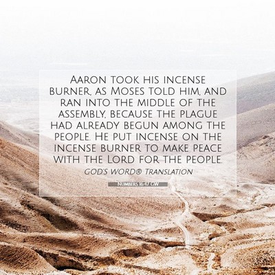 Picture 07 - Numbers 16:47 GW - Aaron took his incense burner, as Moses told him, - Bible Verse Picture