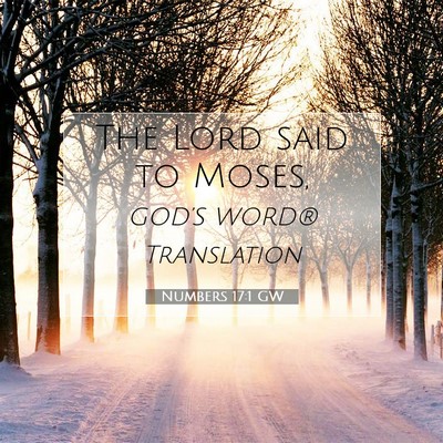 Picture 07 - Numbers 17:1 GW - The Lord said to - Bible Verse Picture
