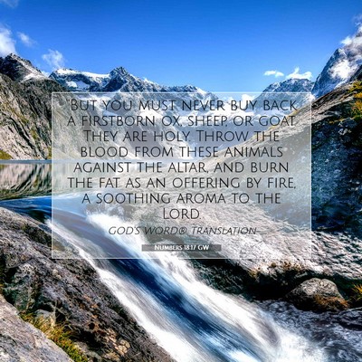 Picture 07 - Numbers 18:17 GW - “But you must never buy back a firstborn ox, - Bible Verse Picture