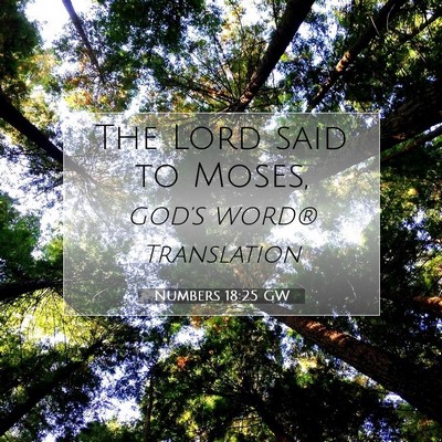 Picture 07 - Numbers 18:25 GW - The Lord said to - Bible Verse Picture