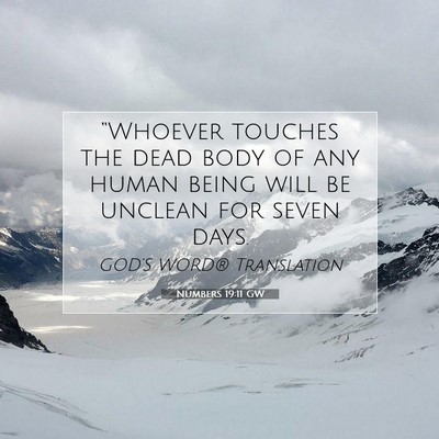 Picture 07 - Numbers 19:11 GW - “Whoever touches the dead body of any human - Bible Verse Picture