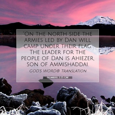Picture 07 - Numbers 2:25 GW - “On the north side the armies led by Dan will - Bible Verse Picture