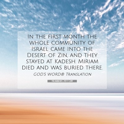 Picture 07 - Numbers 20:1 GW - In the first month the whole community of Israel - Bible Verse Picture