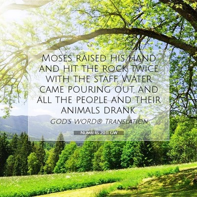 Picture 07 - Numbers 20:11 GW - Moses raised his hand and hit the rock twice with - Bible Verse Picture