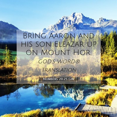 Picture 07 - Numbers 20:25 GW - Bring Aaron and his son Eleazar up on Mount - Bible Verse Picture