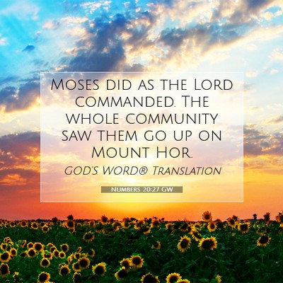 Picture 07 - Numbers 20:27 GW - Moses did as the Lord commanded. The whole - Bible Verse Picture
